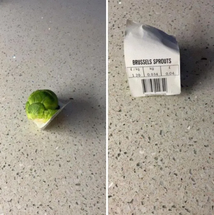 Люди, чиї прохання втілили на 100% Люди, чиї прохання втілили на 100%