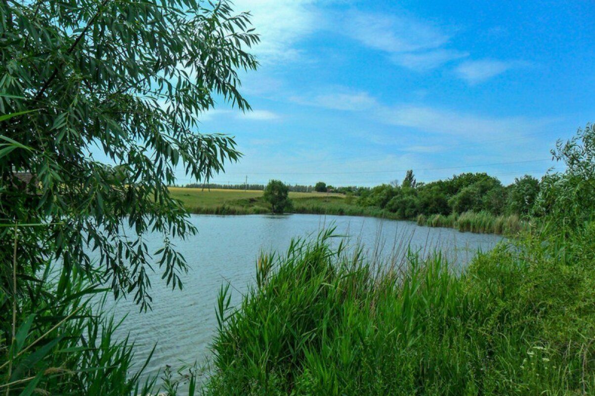 В 2021 году в Украине утонули около тысячи человек: статистика В 2021 году в Украине утонули около тысячи человек: статистика