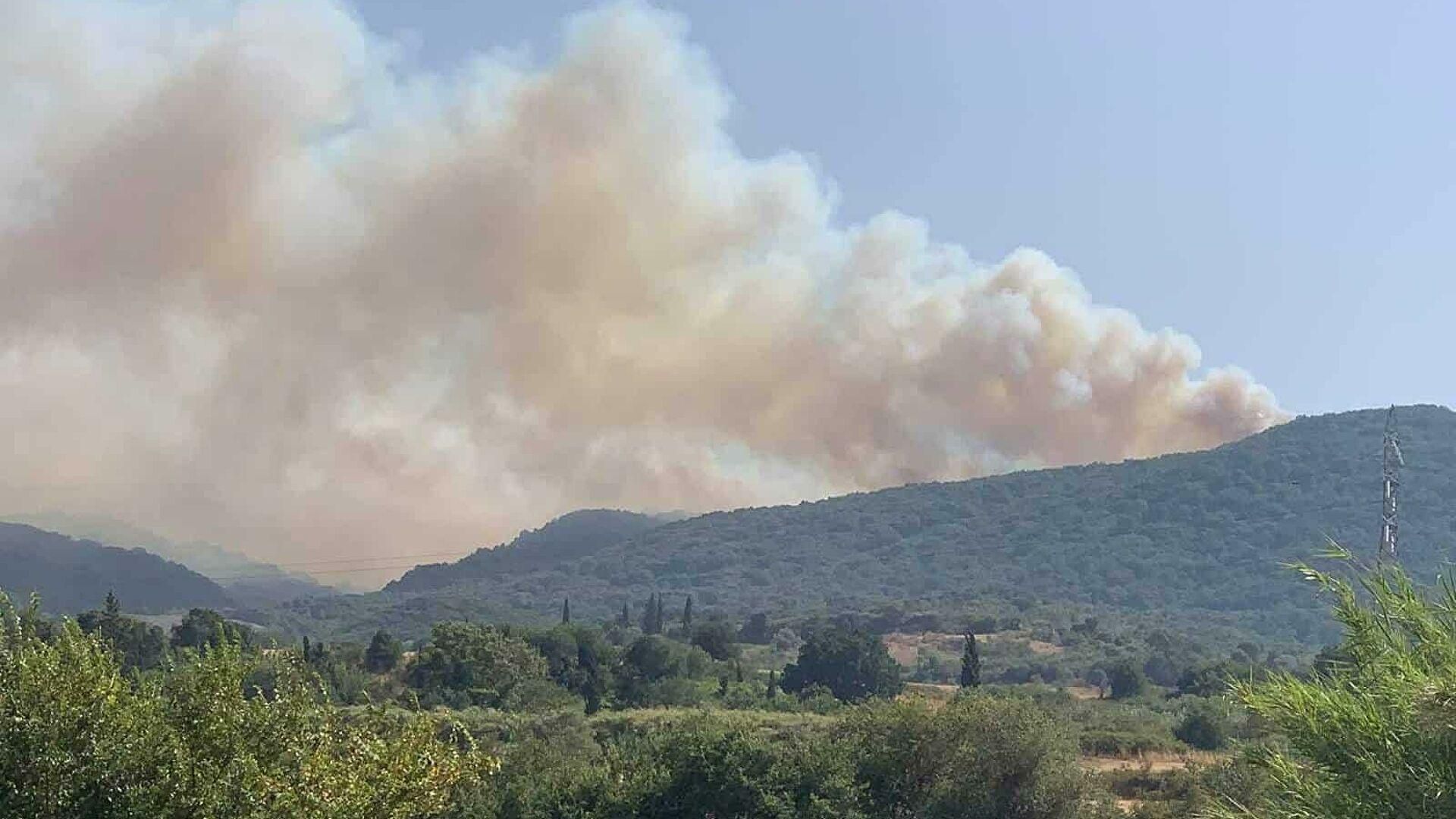 В Греции 31.07.2021 вспыхнули лесные пожары: какая сейчас ситуация