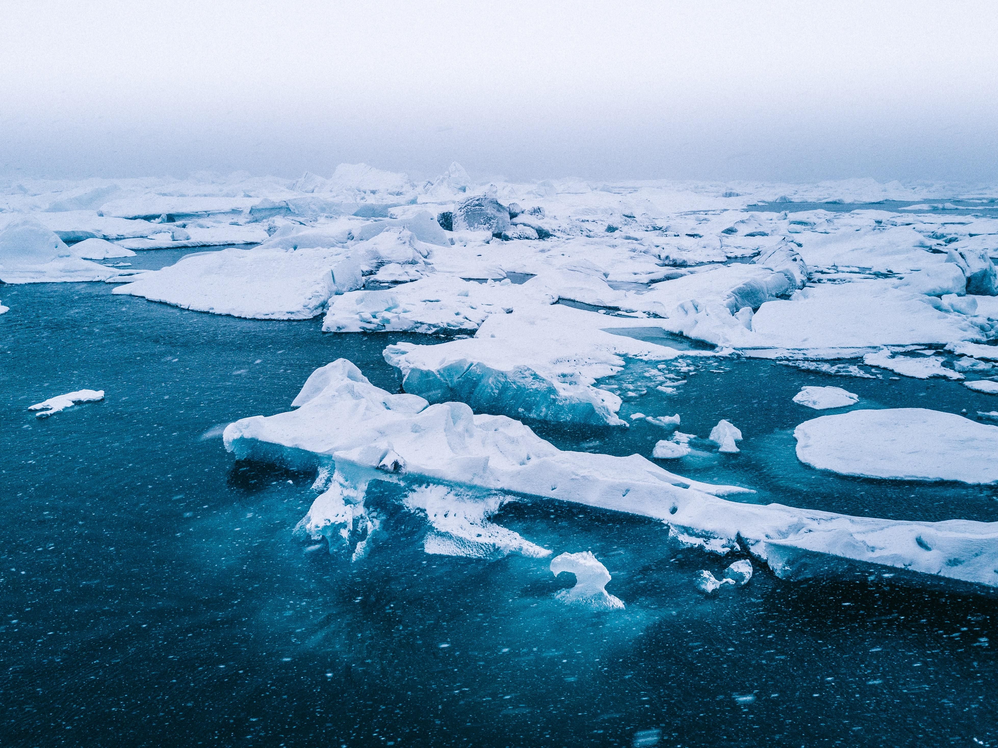 У Гренландії рекордне танення льоду: як це загрожує планеті