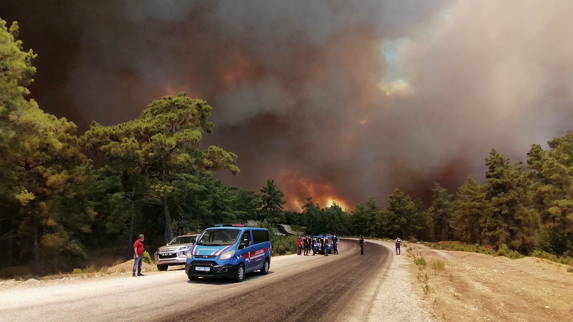 В Турции 31.07.2021 задержали подозреваемого в поджогах лесов