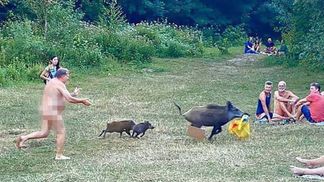 У Німеччині випустили фігурки голого чоловіка та кабана, який вкрав у нього ноутбук на пляжі