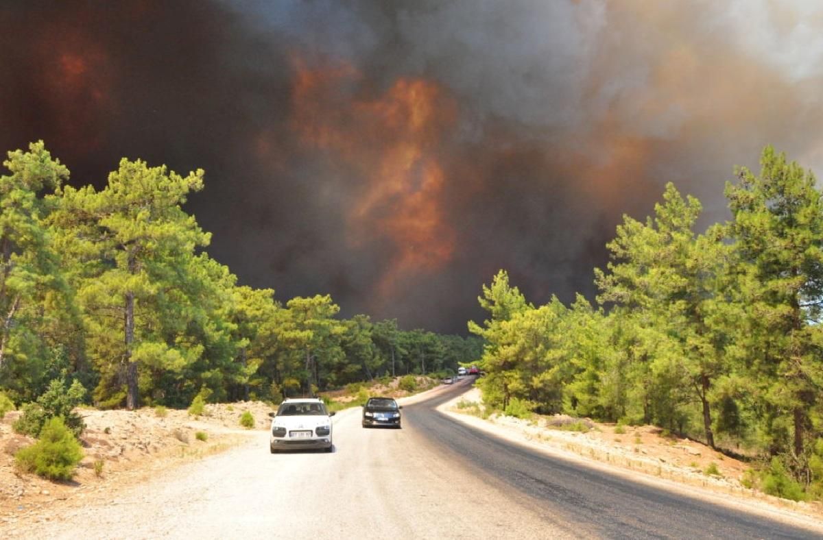 У Туреччині змогли взяти під контроль понад 100 лісових пожеж