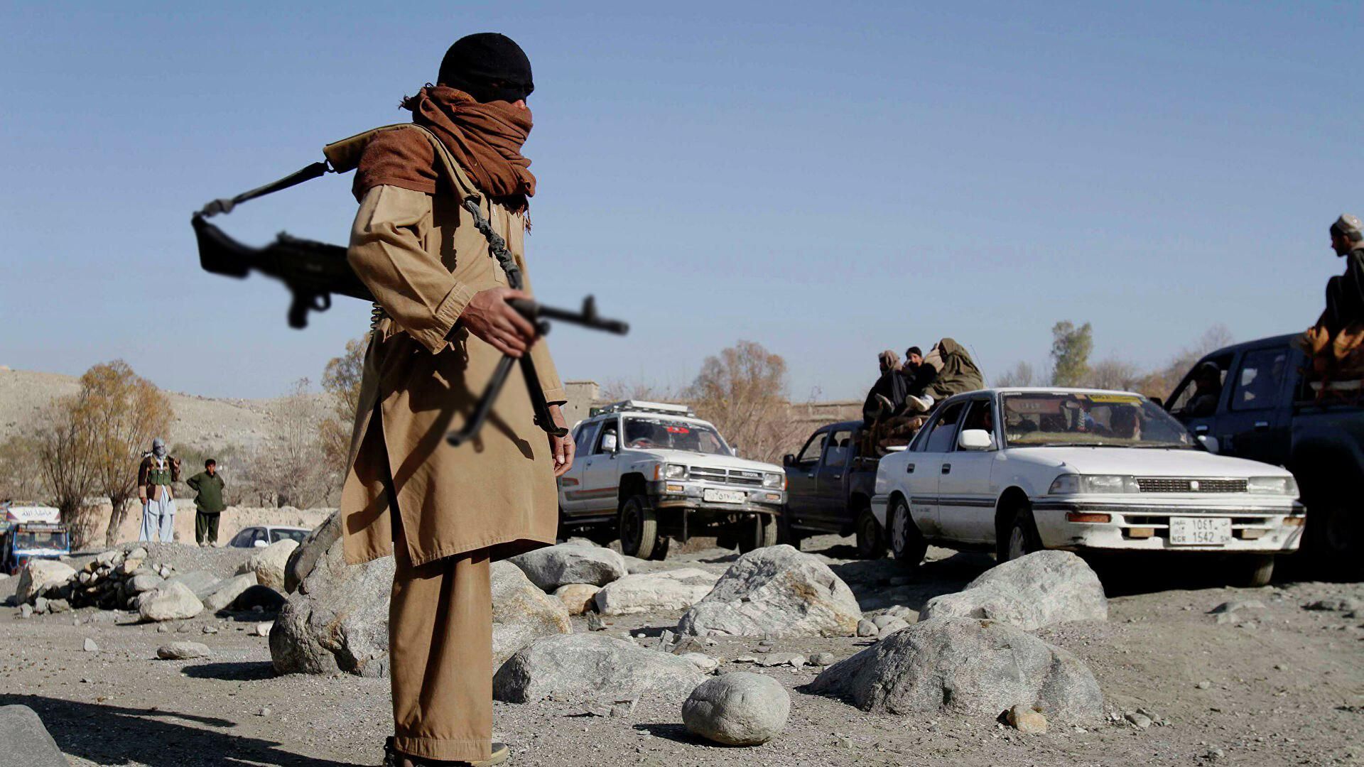 В Афганистане заявили о ликвидации более 250 боевиков Талибана