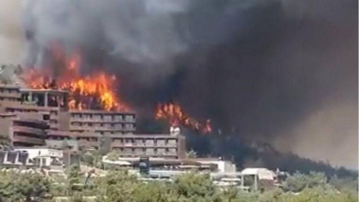 За пожежі в Туреччині взяли відповідальність терористи, – ЗМІ 