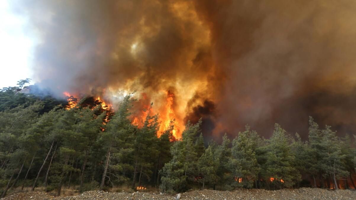 Из-за масштабных пожаров в Греции пострадали 16 человек