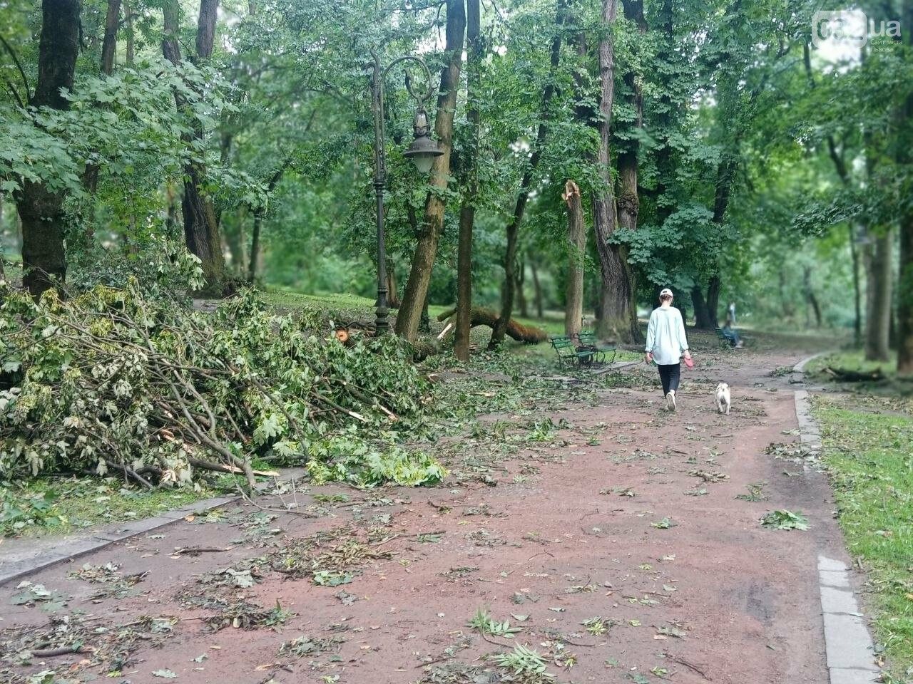 Погибли на месте: из-за урагана во Львове на молодую пару упало дерево в парке
