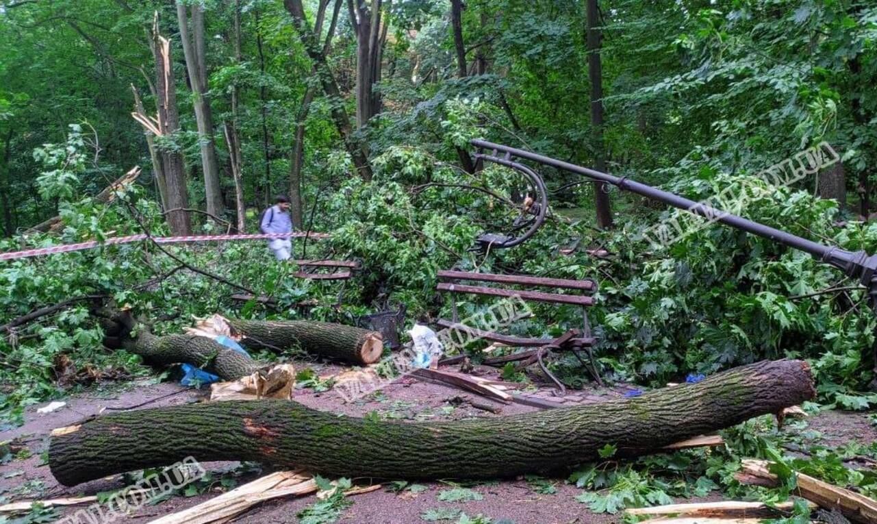 У Львові під час буревію загинув курсант військової академії У Львові під час буревію загинув курсант військової академії