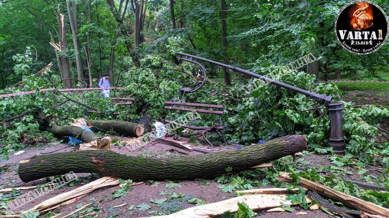 Во Львове на молодую пару смертельно упало дерево фото, видео