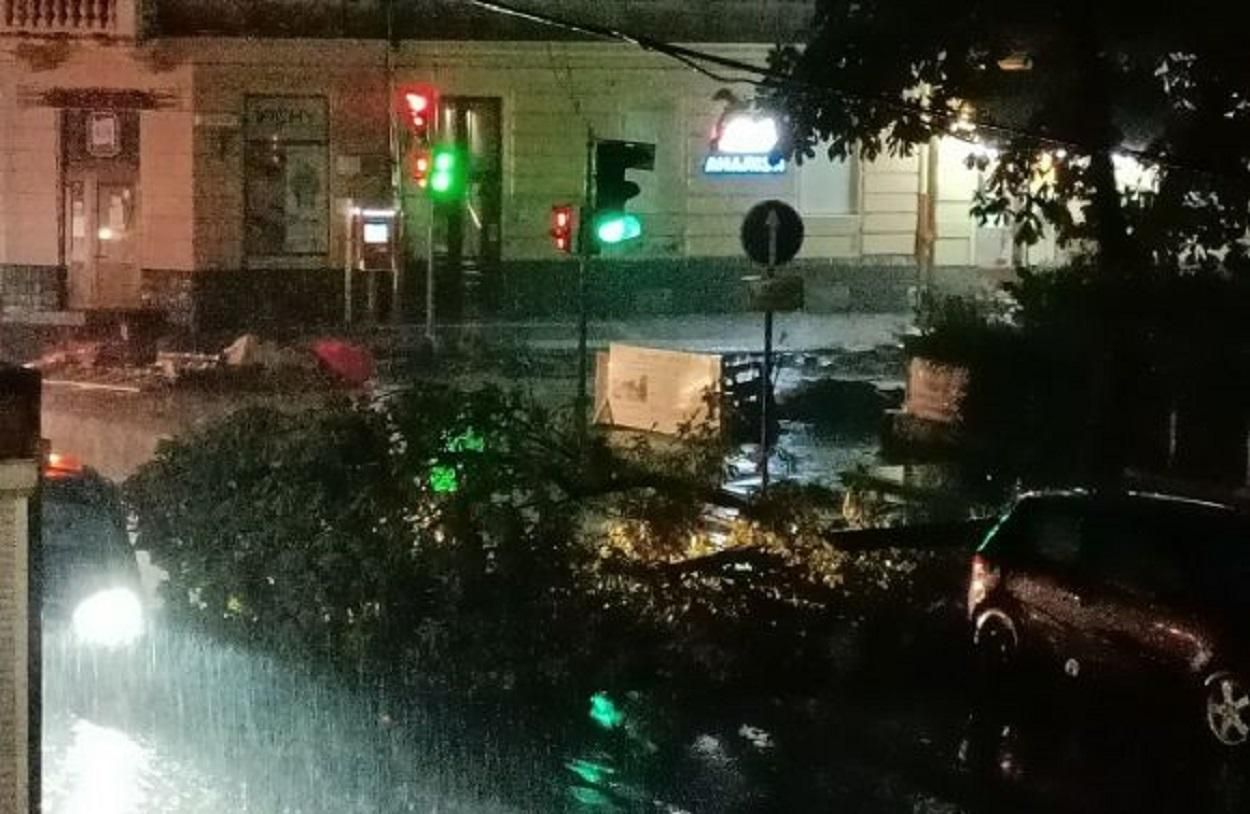 Загиблі, повалені дерева та потрощені автівки: наслідки шаленого буревію у Львові
