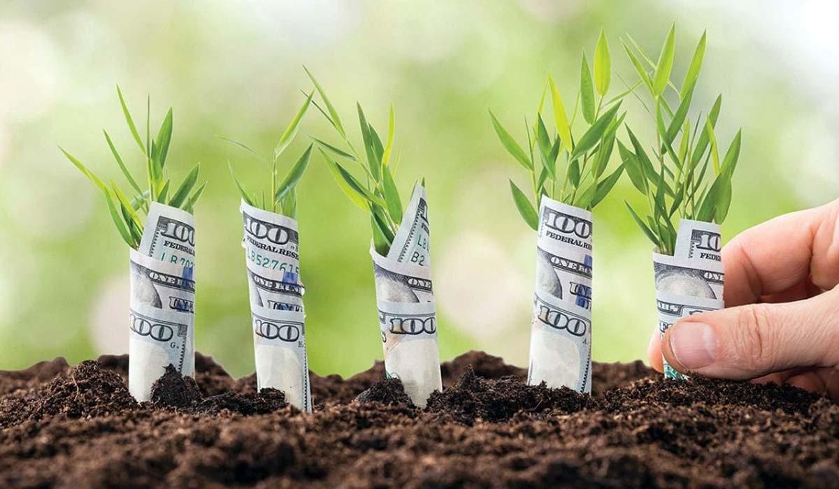 Рынок земли в Украине Рынок земли в Украине