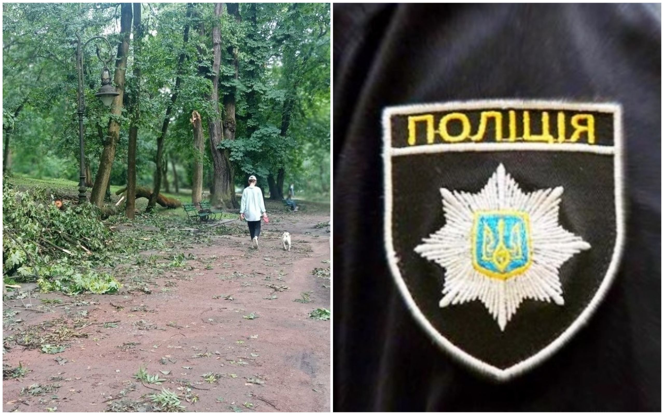 Новости за 2 августа 2021: о главном за день Новости за 2 августа 2021: о главном за день