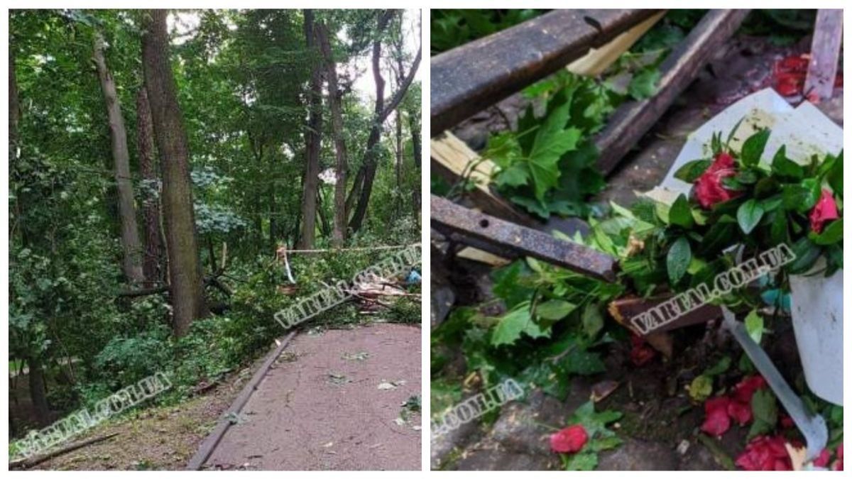 Парень предложил встречаться: детали гибели пары в парке Львова Парень предложил встречаться: детали гибели пары в парке Львова