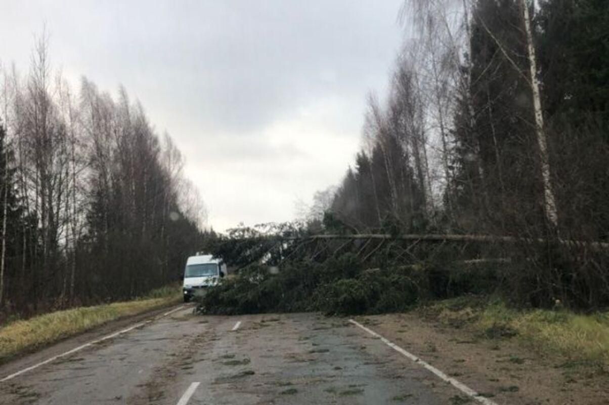Дерева падали як сірники: Росією пронісся смертоносний ураган – відео