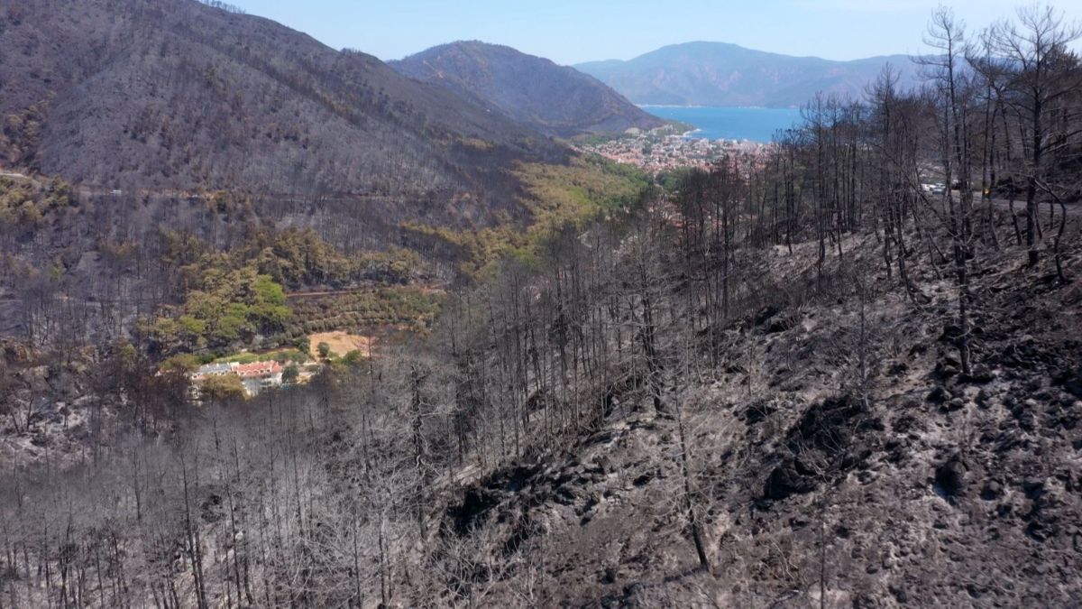 Ліси перетворились на попіл: фото наслідків пожеж у Туреччині