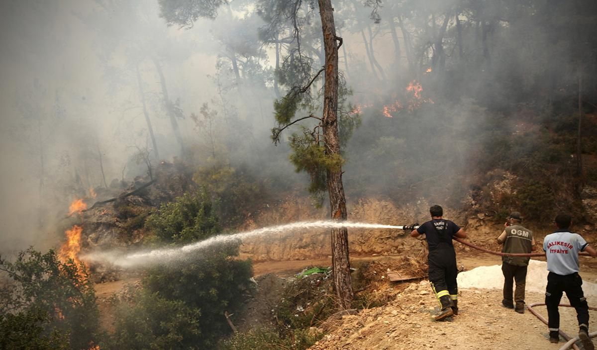 У Туреччині спалахнула нова масштабна лісова пожежа