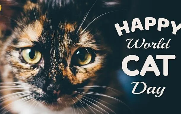 Міжнародний день кішок 2021 картинки привітання