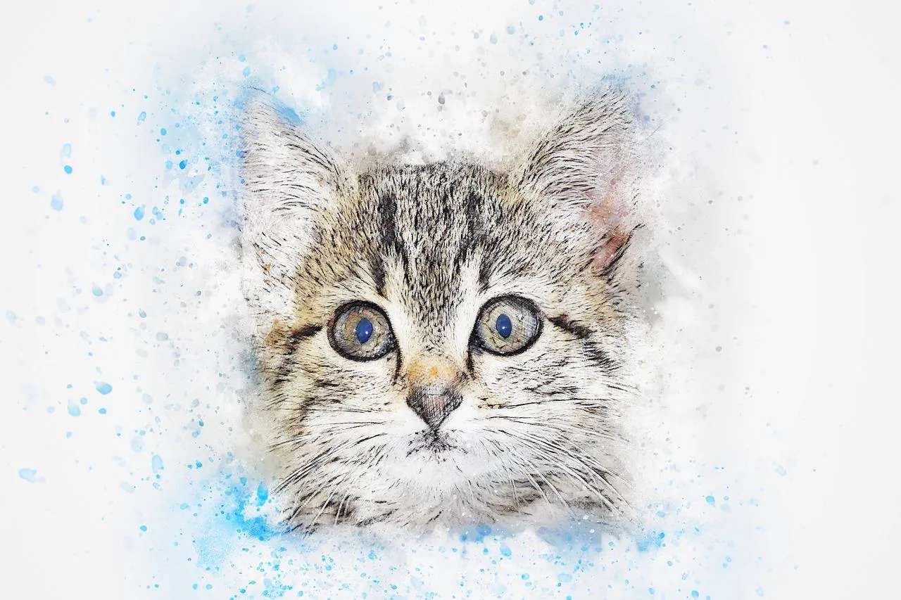 Міжнародний день кішок 8 серпня картинки Міжнародний день кішок 8 серпня картинки