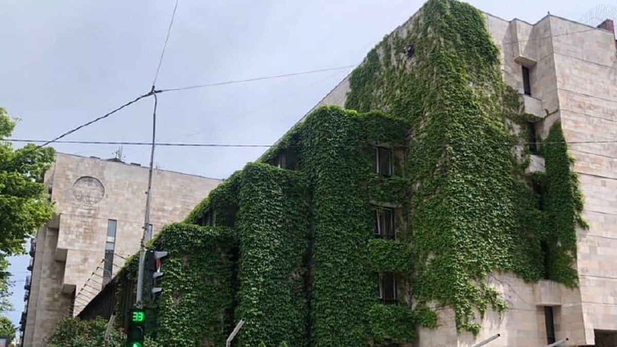 Цветам Украины в Киеве предоставили охранный статус Цветам Украины в Киеве предоставили охранный статус