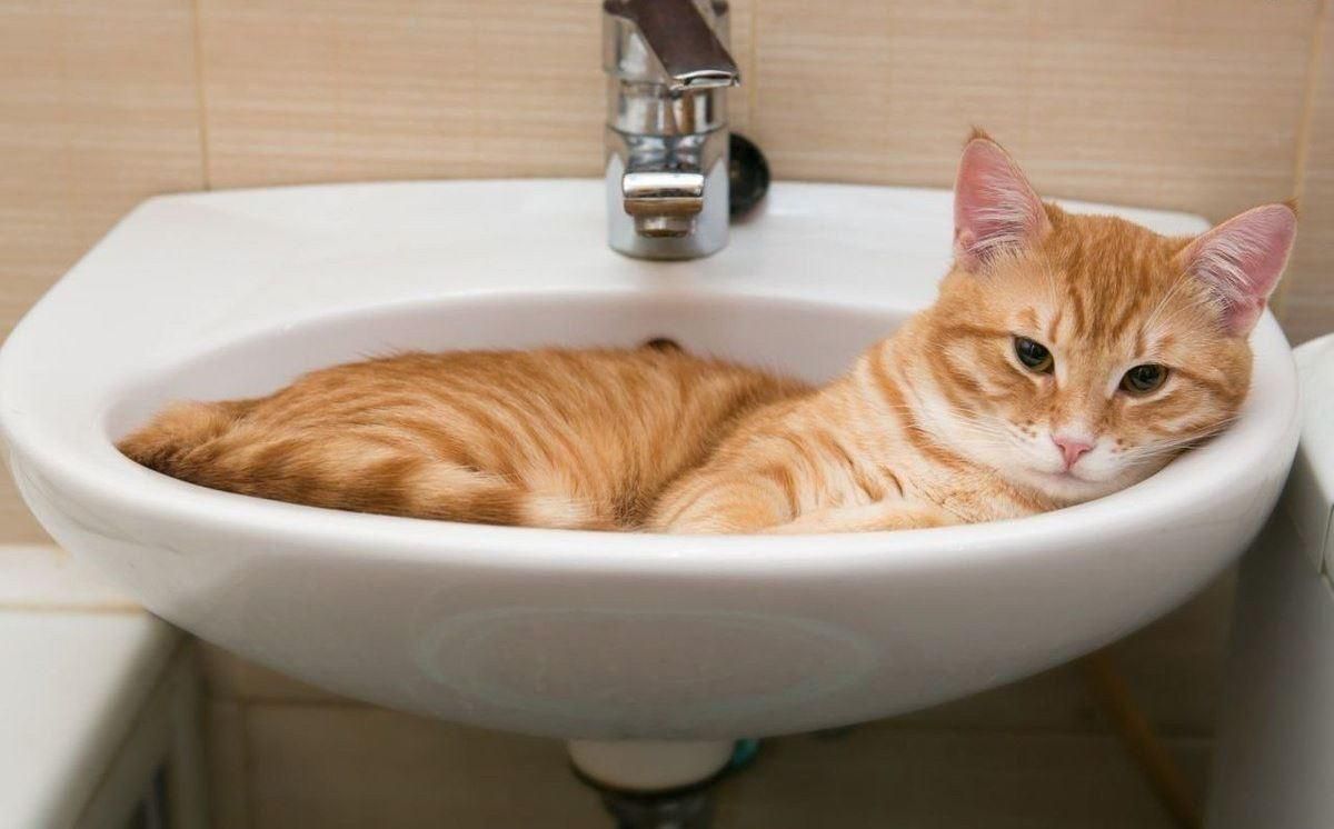 Отключение воды в Харькове 04.08.2021: список улиц Отключение воды в Харькове 04.08.2021: список улиц