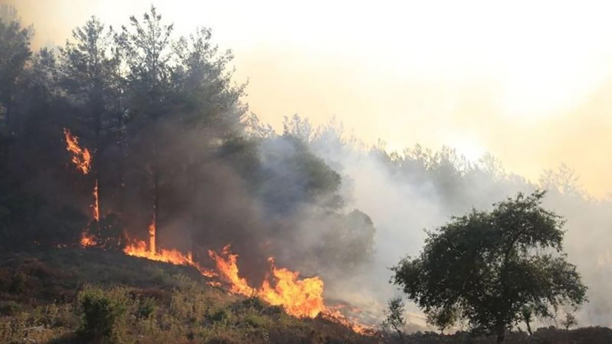 Влада повідомила, що 146 зі 154 пожеж в Туреччині локалізували