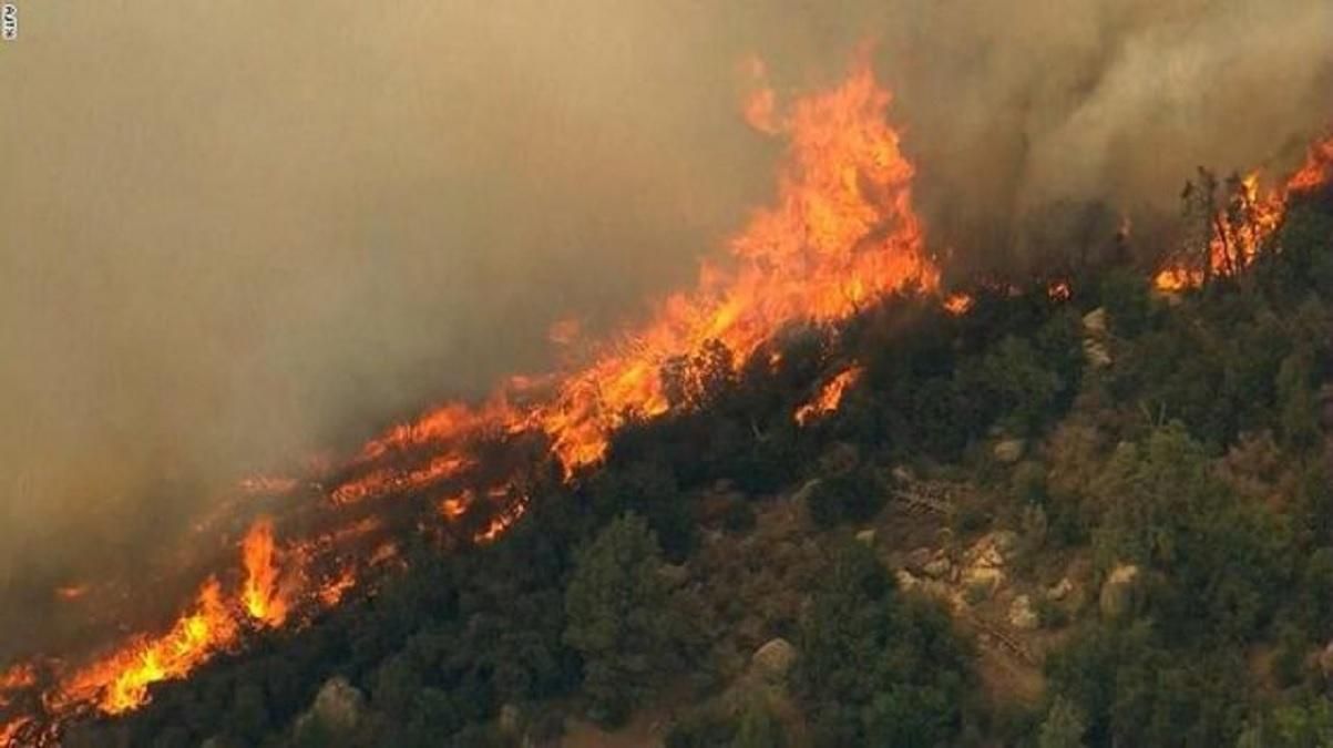 Албанию охватили масштабные лесные пожары: страна не справляется