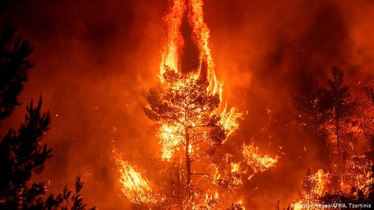 Автомагистраль близ Афин перекрыли из-за лесных пожаров Автомагистраль близ Афин перекрыли из-за лесных пожаров