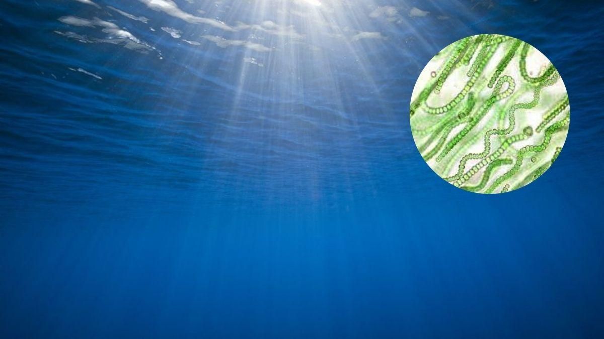 Як утворилася киснева атмосфера Землі – відповідь вчених Як утворилася киснева атмосфера Землі – відповідь вчених