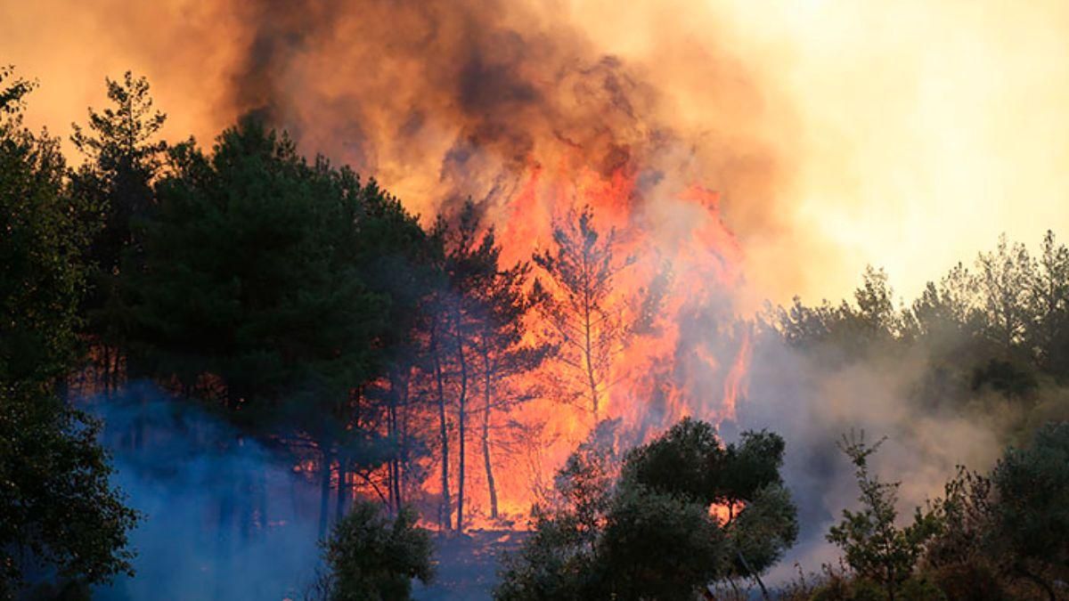 Пожары в Турции перекинулись на тепловую электростанцию: видео Пожары в Турции перекинулись на тепловую электростанцию: видео