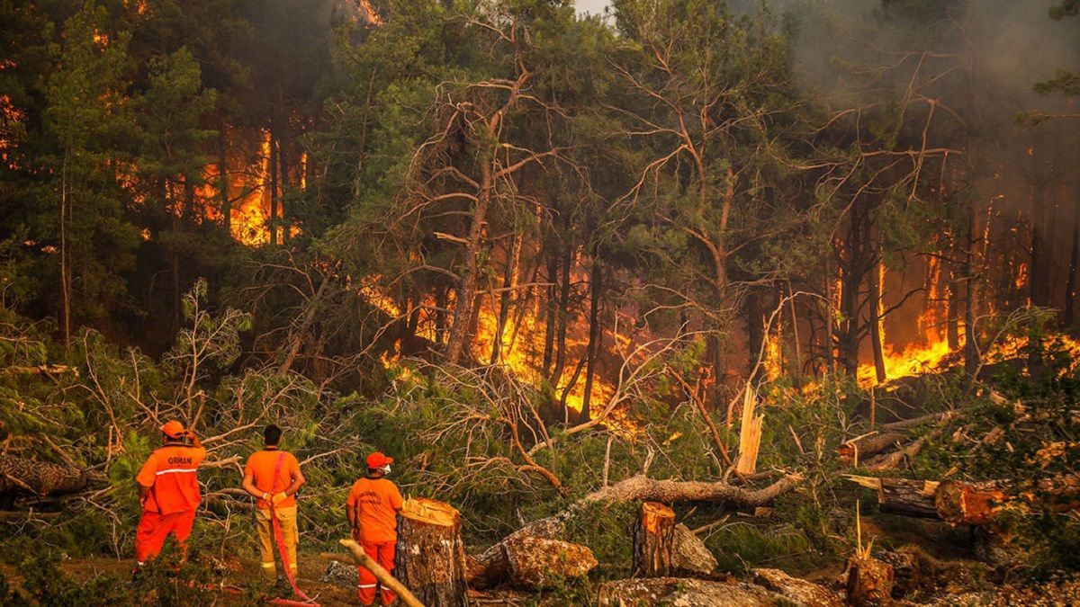 Лесные пожары в Турции: украинцев пришлось эвакуировать морем