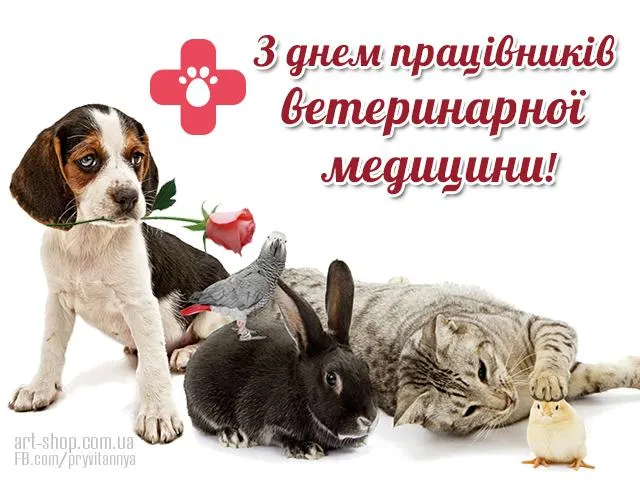 Привітання з Днем працівника ветеринарної медицини 2021 Привітання з Днем працівника ветеринарної медицини 2021