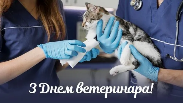 День ветеринара 2021 картинки привітання День ветеринара 2021 картинки привітання