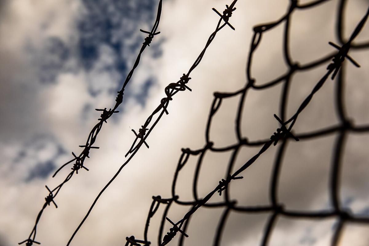 Литва построит забор на границе с Беларусью через 2 года Литва построит забор на границе с Беларусью через 2 года