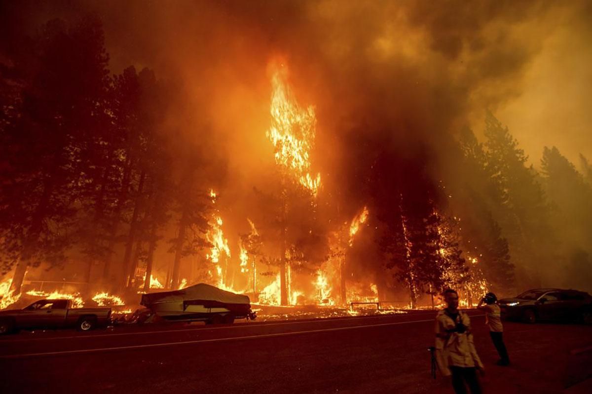 Лісова пожежа в Каліфорнії охопила понад 110 тисяч га: фото, відео