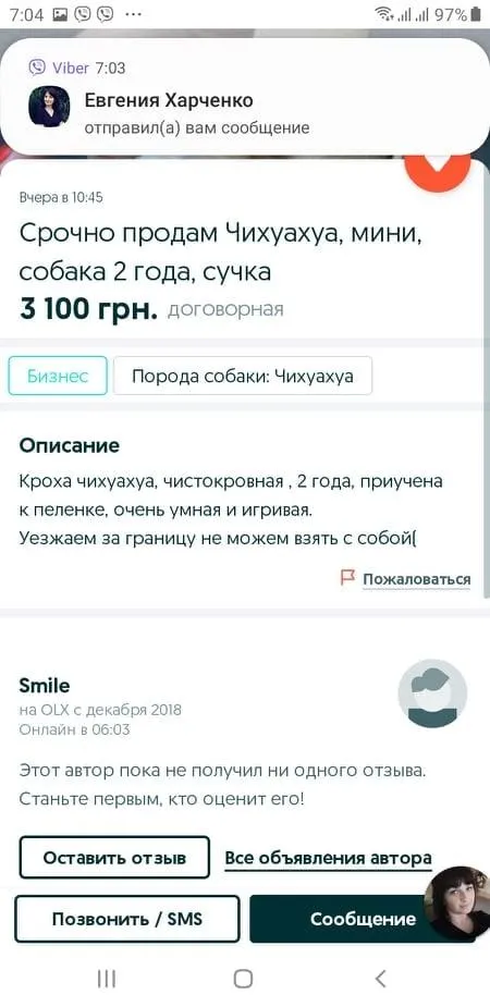 Вкрали чихуахуа Дніпро Хотіли продати Знайшли 5 серпня 2021