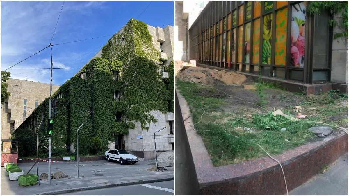 квіти україни виноград квіти україни виноград