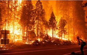 Пожар возле Афин вышел из-под контроля: людей эвакуируют на побережье