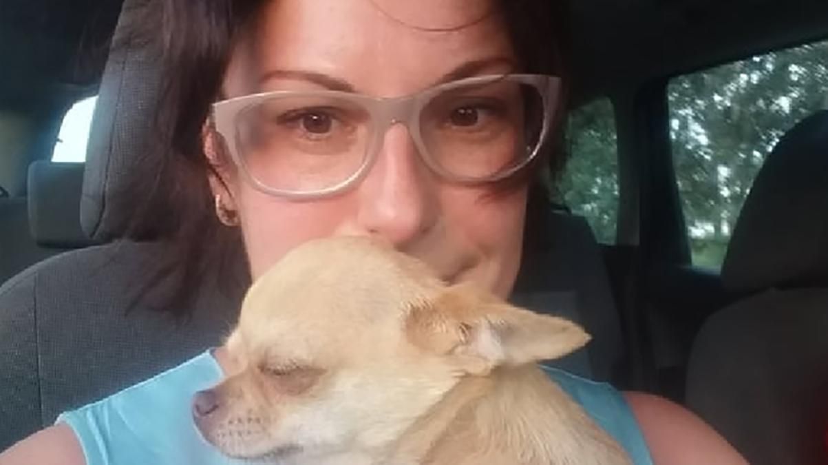 В Днепре похитили чихуахуа и пытались продать на OLX В Днепре похитили чихуахуа и пытались продать на OLX