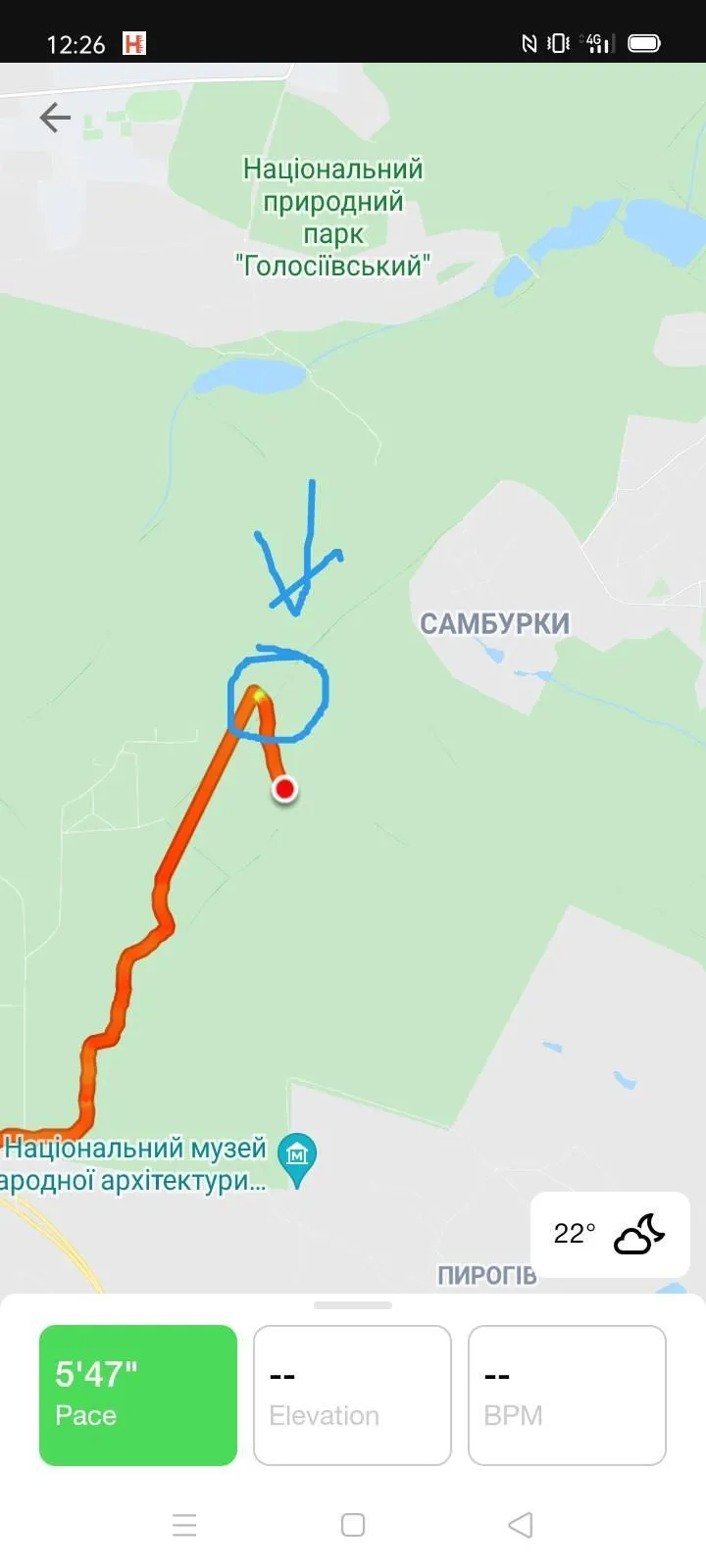 напад собаки на жінку у Києві напад собаки на жінку у Києві