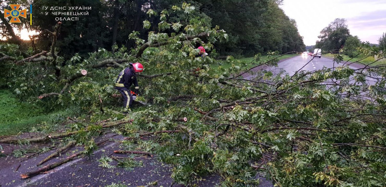 Непогода в Черновицкой области 5 августа 2021: фото последствий Непогода в Черновицкой области 5 августа 2021: фото последствий