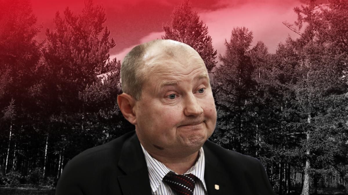 Скандальне повернення судді Чауса Скандальне повернення судді Чауса