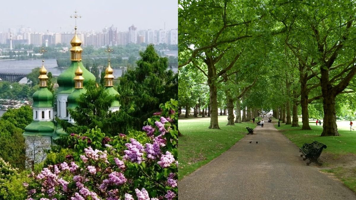 Київ може запозичити досвід Лондона з озеленення: Євгенія Кулеба Київ може запозичити досвід Лондона з озеленення: Євгенія Кулеба