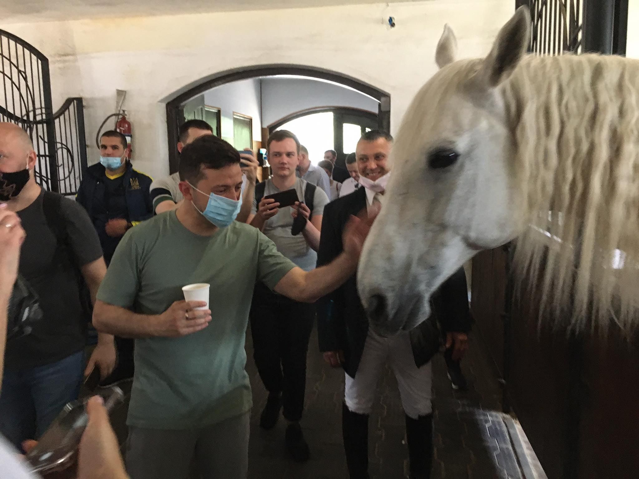 Зеленский подписал закон: ответственность за издевательства над животными Зеленский подписал закон: ответственность за издевательства над животными