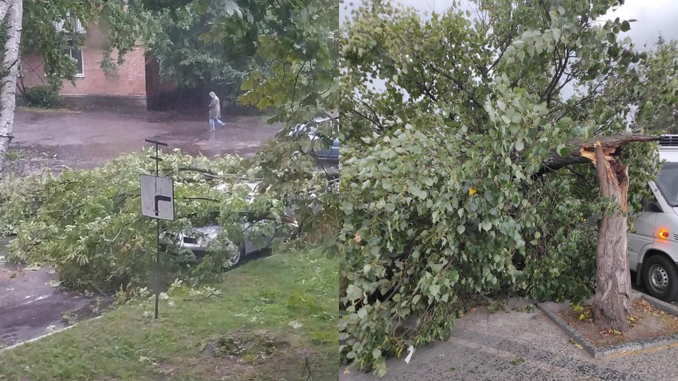 Поваленные деревья и сорваны крыши: непогода накрыла Полтавщину