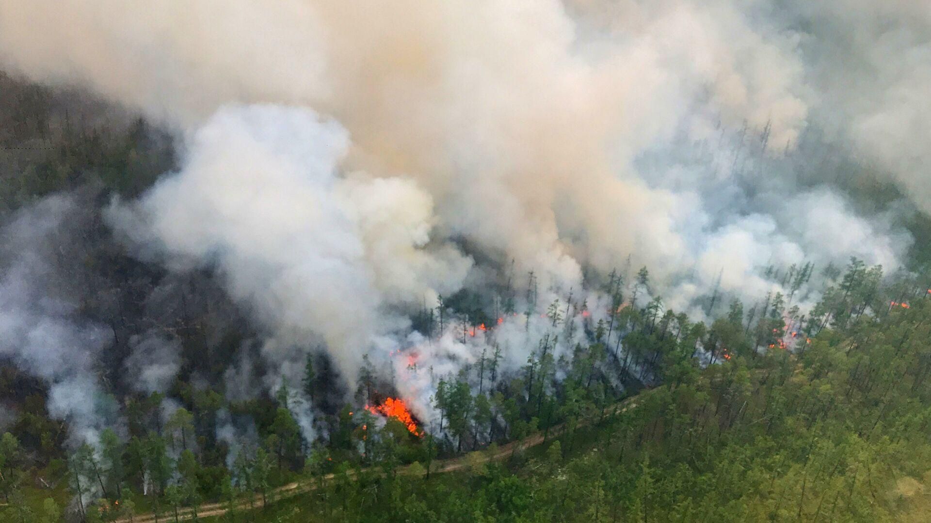 Дим від лісових пожеж у Росії перекинувся на сусідні країни: відео