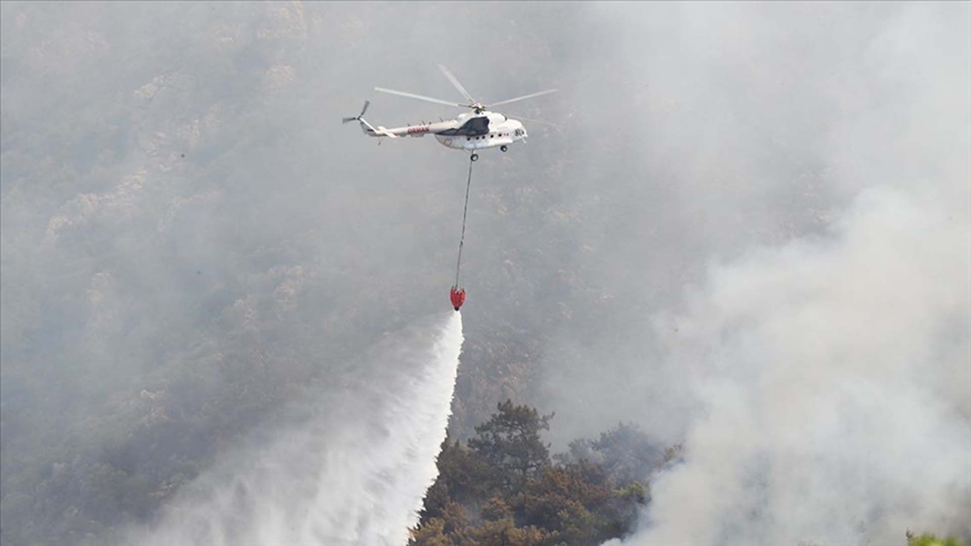 Пожежі у Туреччині: зливи допомогли рятувальникам боротися з вогнем