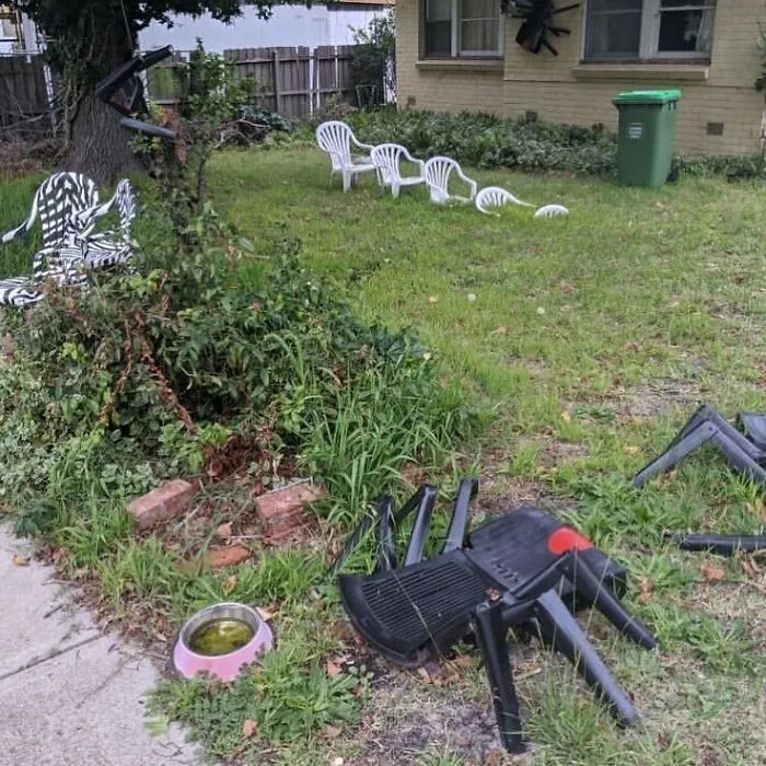 Тільки ті, хто тут живуть, знають, що відбувається Тільки ті, хто тут живуть, знають, що відбувається