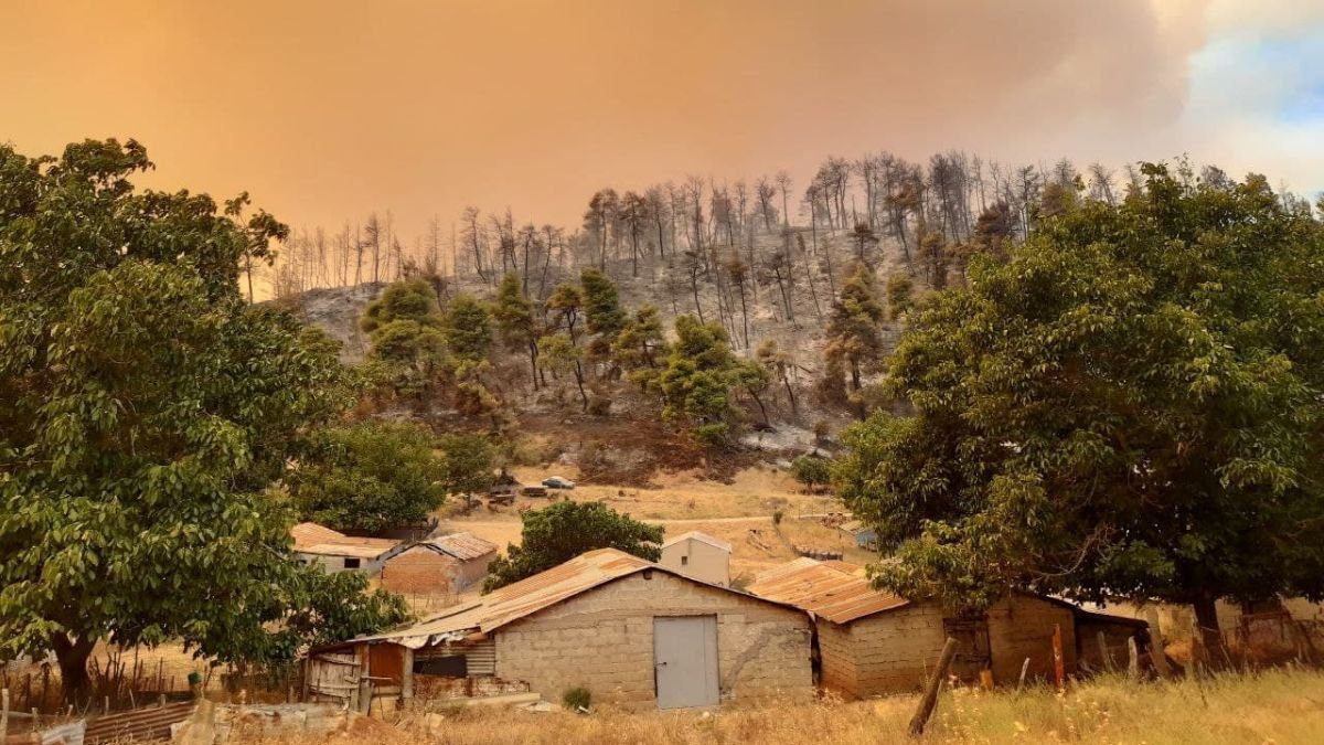У Греції пожежі знищили сотні будинків: небо стало червоним – фото