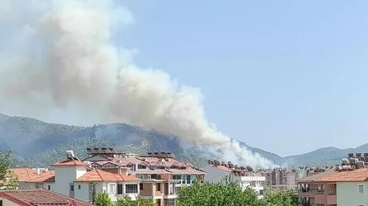 Пожежа в турецькому місті Даламан: горить біля аеропорту – відео