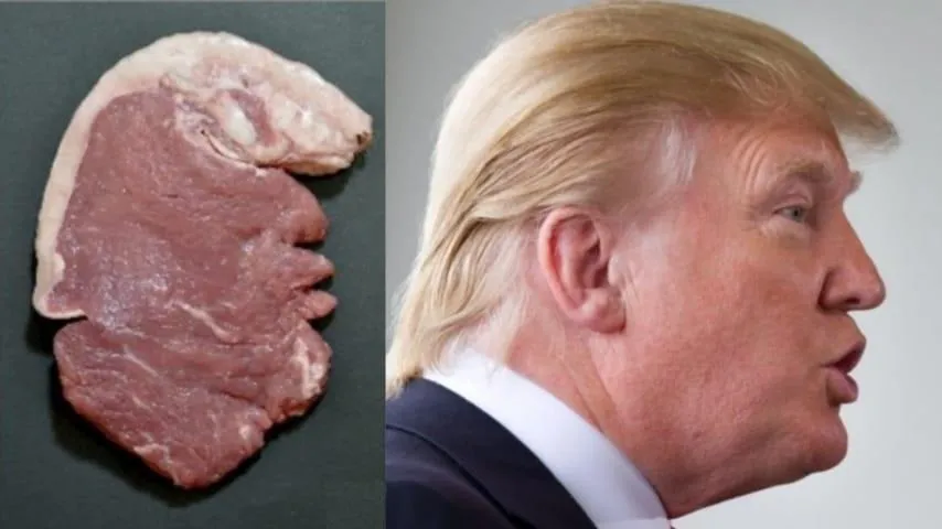 Художник отримав міжнародну нагороду за карикатурне зображення Трампа на відбивній  Художник отримав міжнародну нагороду за карикатурне зображення Трампа на відбивній
